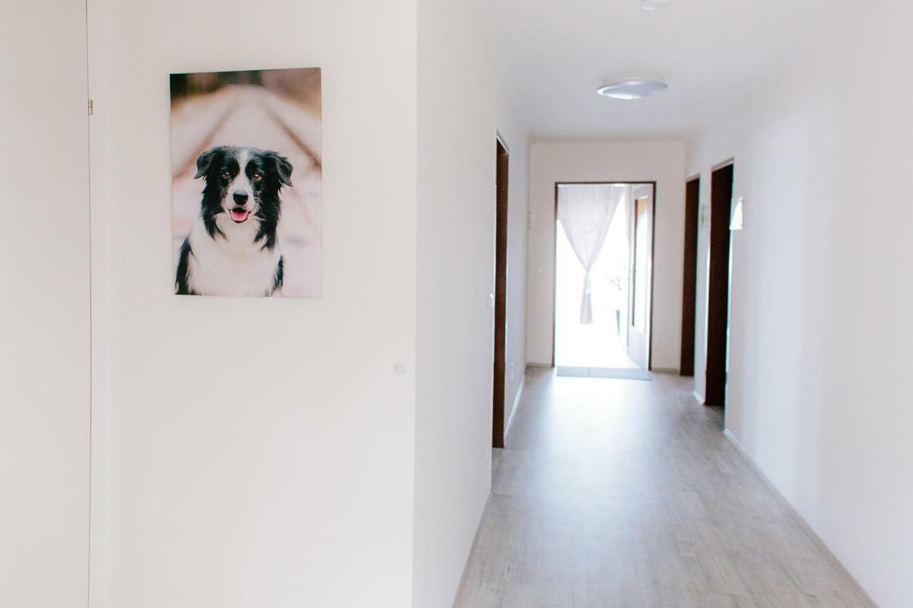 Steira-Studios Ehrenhausen Bagian luar foto